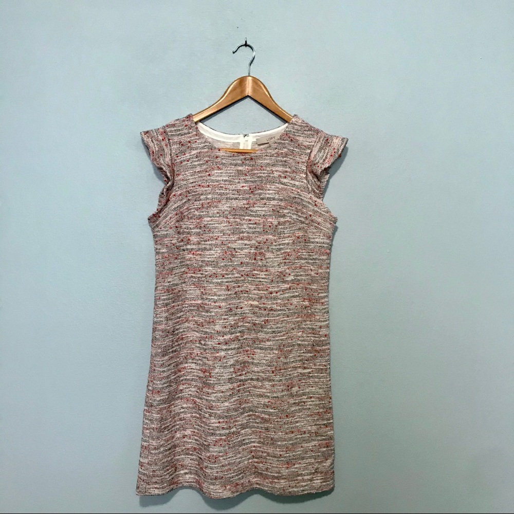 LOFT Soft Pink Knit Shift Dress Ruffle Sleeves